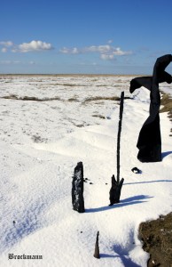  never saw you cry artportbrockmann