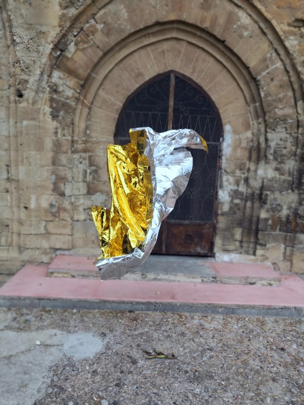 golden-silver-reign-palermo-artprojectbrockmann