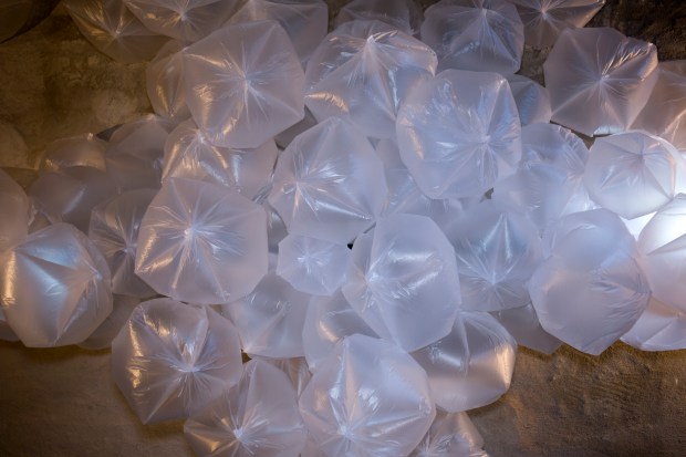 ITS ALL IN THE AIR BABY BY GERD GM BROCKMANN (3)