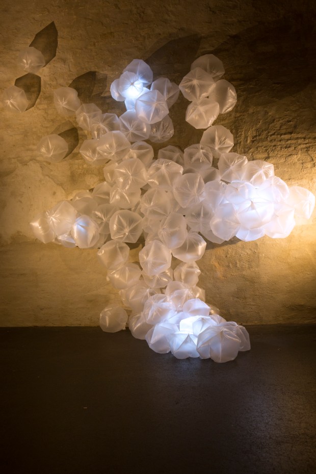 ITS ALL IN THE AIR BABY BY GERD GM BROCKMANN (5)