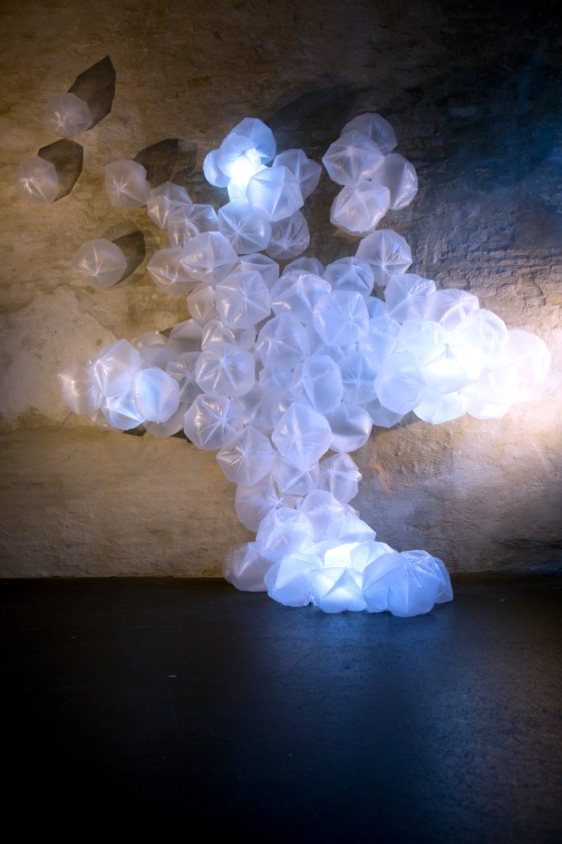 ITS ALL IN THE AIR BABY BY GERD GM BROCKMANN (6)